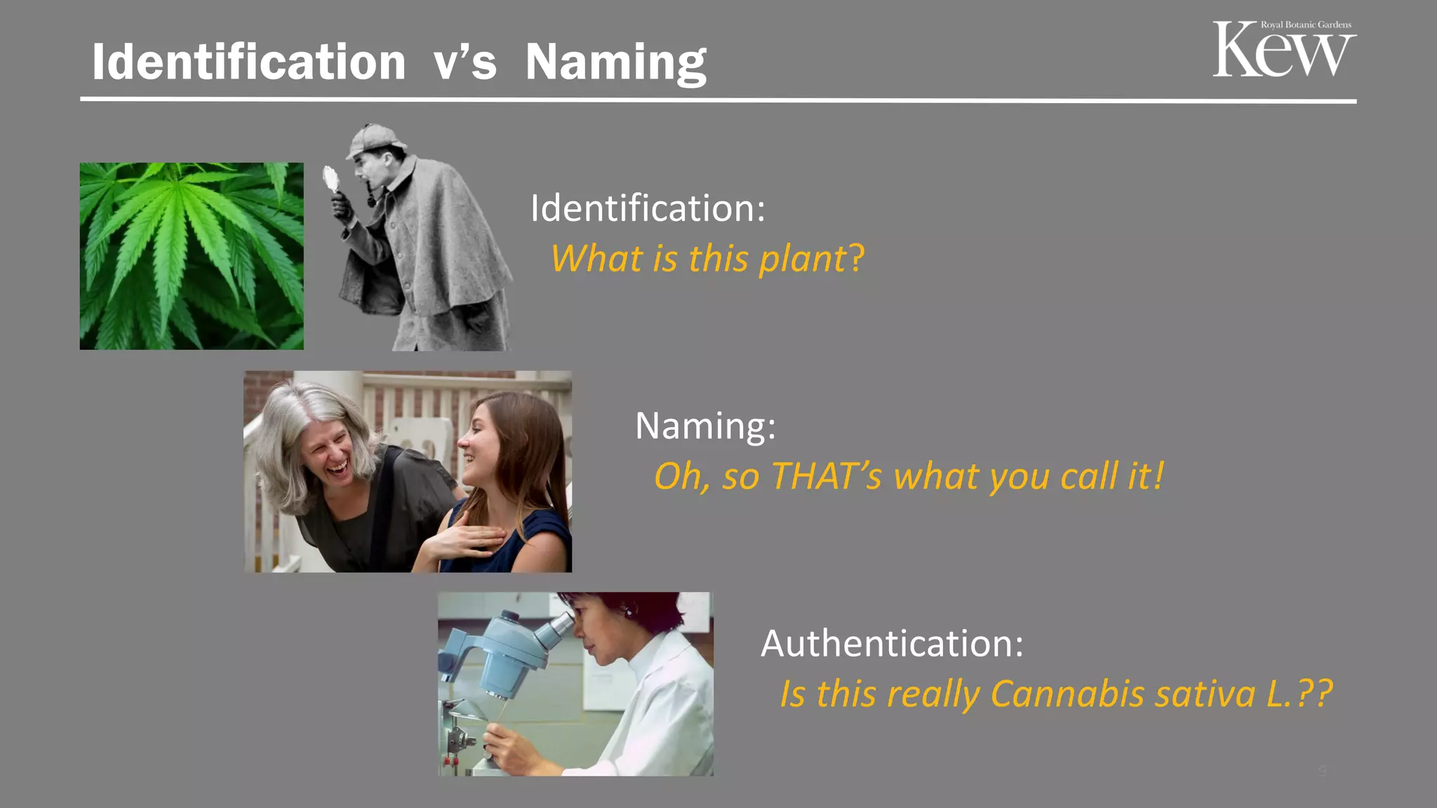 Identification v’s Naming
Identification:
What is this plant?
Naming:
Oh, so THAT’s what you call it!
Authentication:
Is this really Cannabis sativa L.??
9
 
