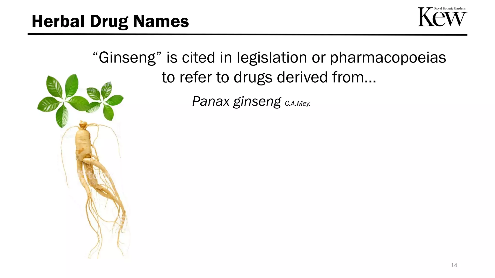Herbal Drug Names
Panax ginseng C.A.Mey.
14
“Ginseng” is cited in legislation or pharmacopoeias
to refer to drugs derived from…
 