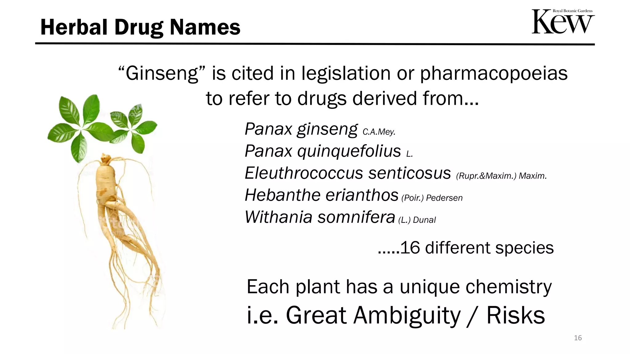 “Ginseng” is cited in legislation or pharmacopoeias
to refer to drugs derived from…
Herbal Drug Names
Panax ginseng C.A.Mey.
Panax quinquefolius L.
Eleuthrococcus senticosus (Rupr.&Maxim.) Maxim.
Hebanthe erianthos(Poir.) Pedersen
Withania somnifera(L.) Dunal
…..16 different species
Each plant has a unique chemistry
i.e. Great Ambiguity / Risks
16
 