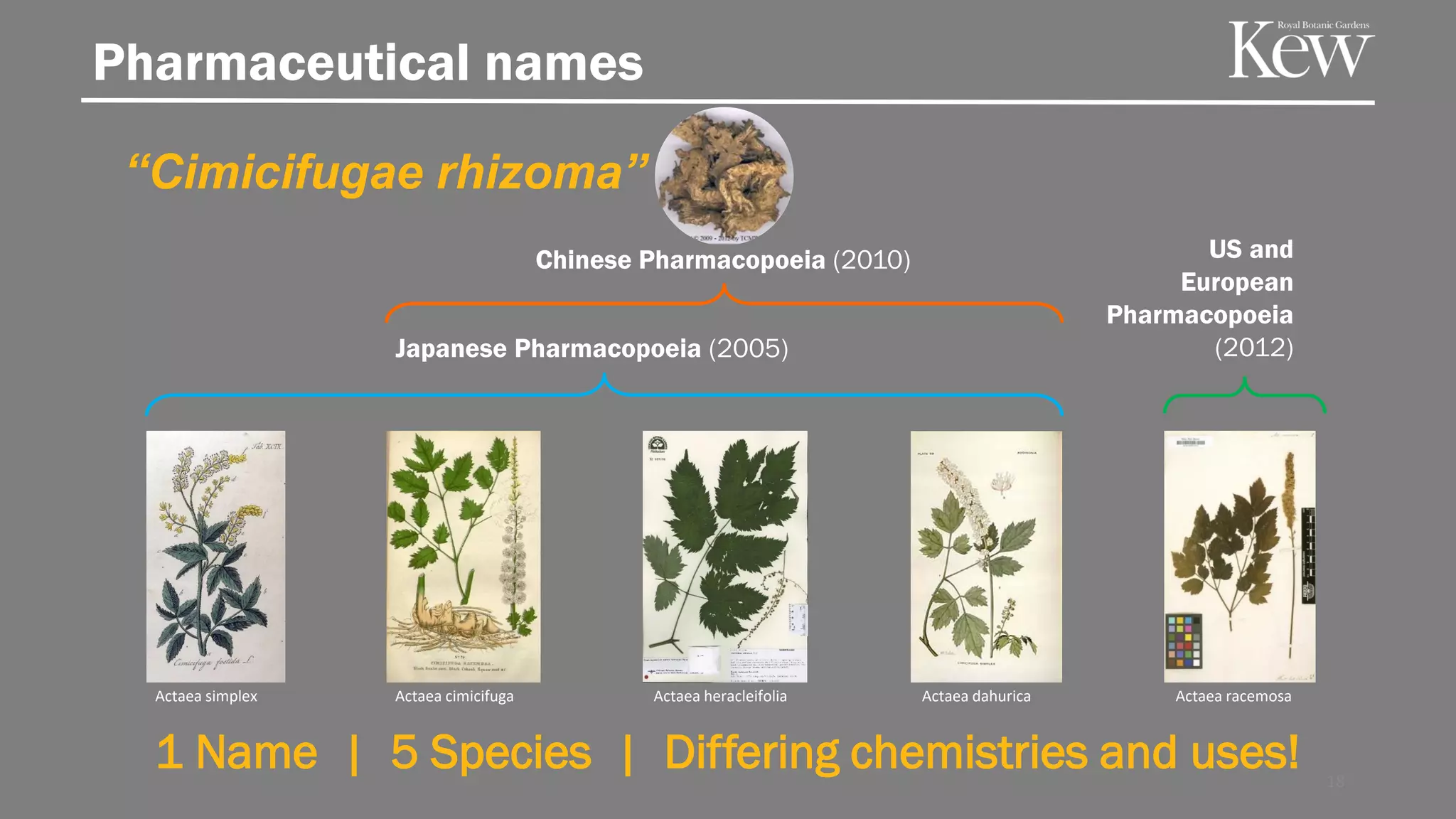US and
European
Pharmacopoeia
(2012)
“Cimicifugae rhizoma”
Japanese Pharmacopoeia (2005)
Chinese Pharmacopoeia (2010)
1 Name | 5 Species | Differing chemistries and uses!
Actaea simplex Actaea cimicifuga Actaea heracleifolia Actaea dahurica Actaea racemosa
18
Pharmaceutical names
 