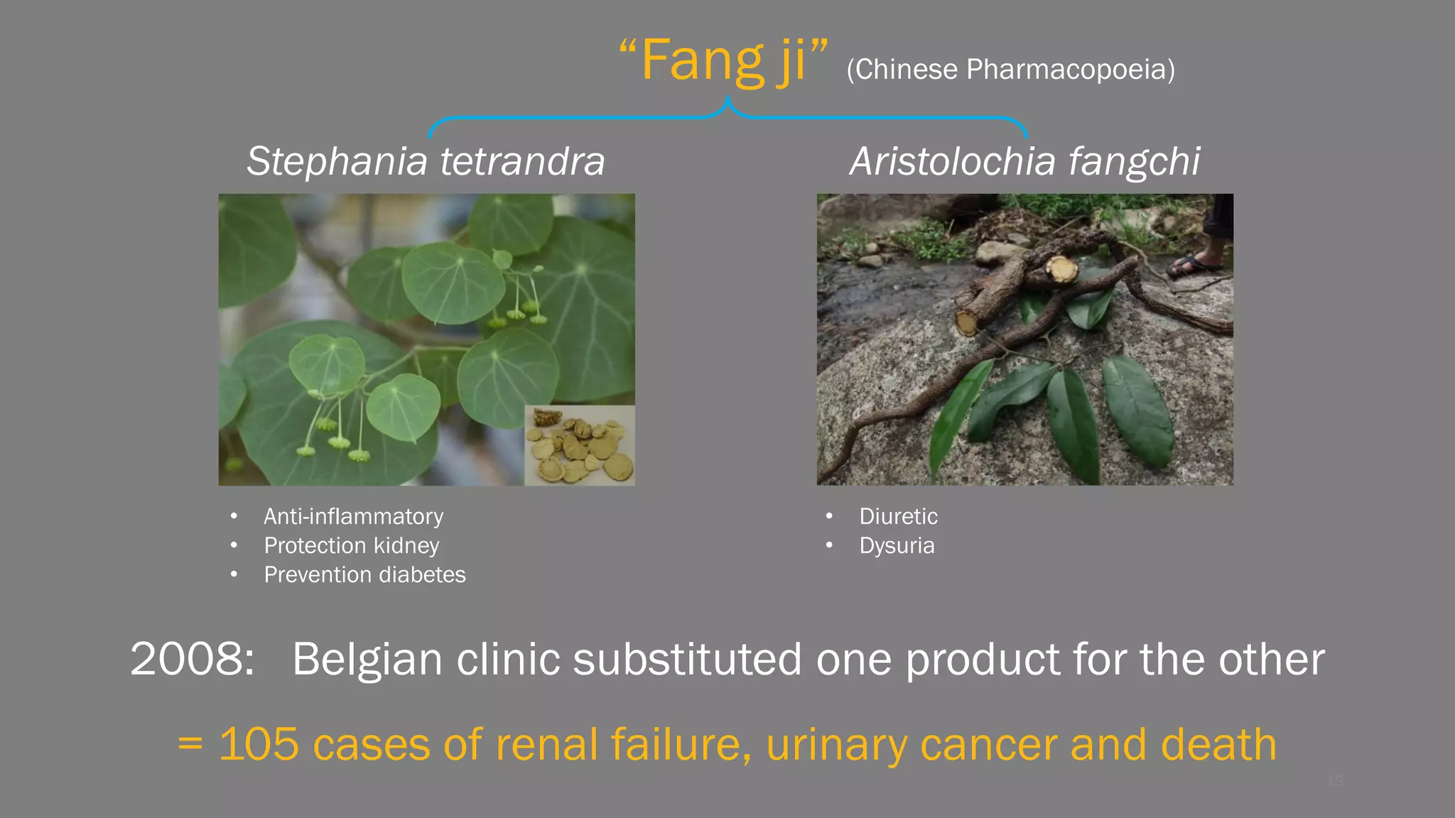 Aristolochia fangchiStephania tetrandra
2008: Belgian clinic substituted one product for the other
“Fang ji” (Chinese Pharmacopoeia)
= 105 cases of renal failure, urinary cancer and death
• Anti-inflammatory
• Protection kidney
• Prevention diabetes
• Diuretic
• Dysuria
19
 