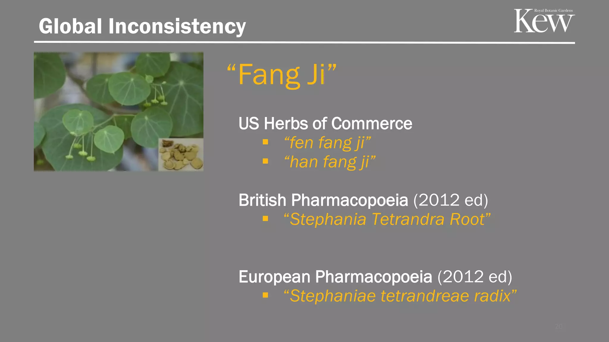 Global Inconsistency
US Herbs of Commerce
▪ “fen fang ji”
▪ “han fang ji”
British Pharmacopoeia (2012 ed)
▪ “Stephania Tetrandra Root”
European Pharmacopoeia (2012 ed)
▪ “Stephaniae tetrandreae radix”
“Fang Ji”
20
 