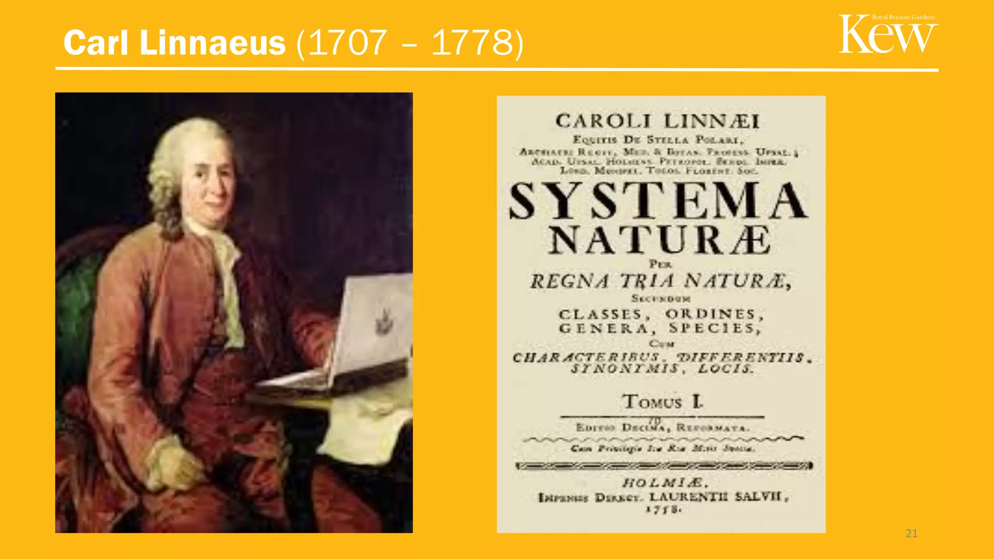 Carl Linnaeus (1707 – 1778)
21
 