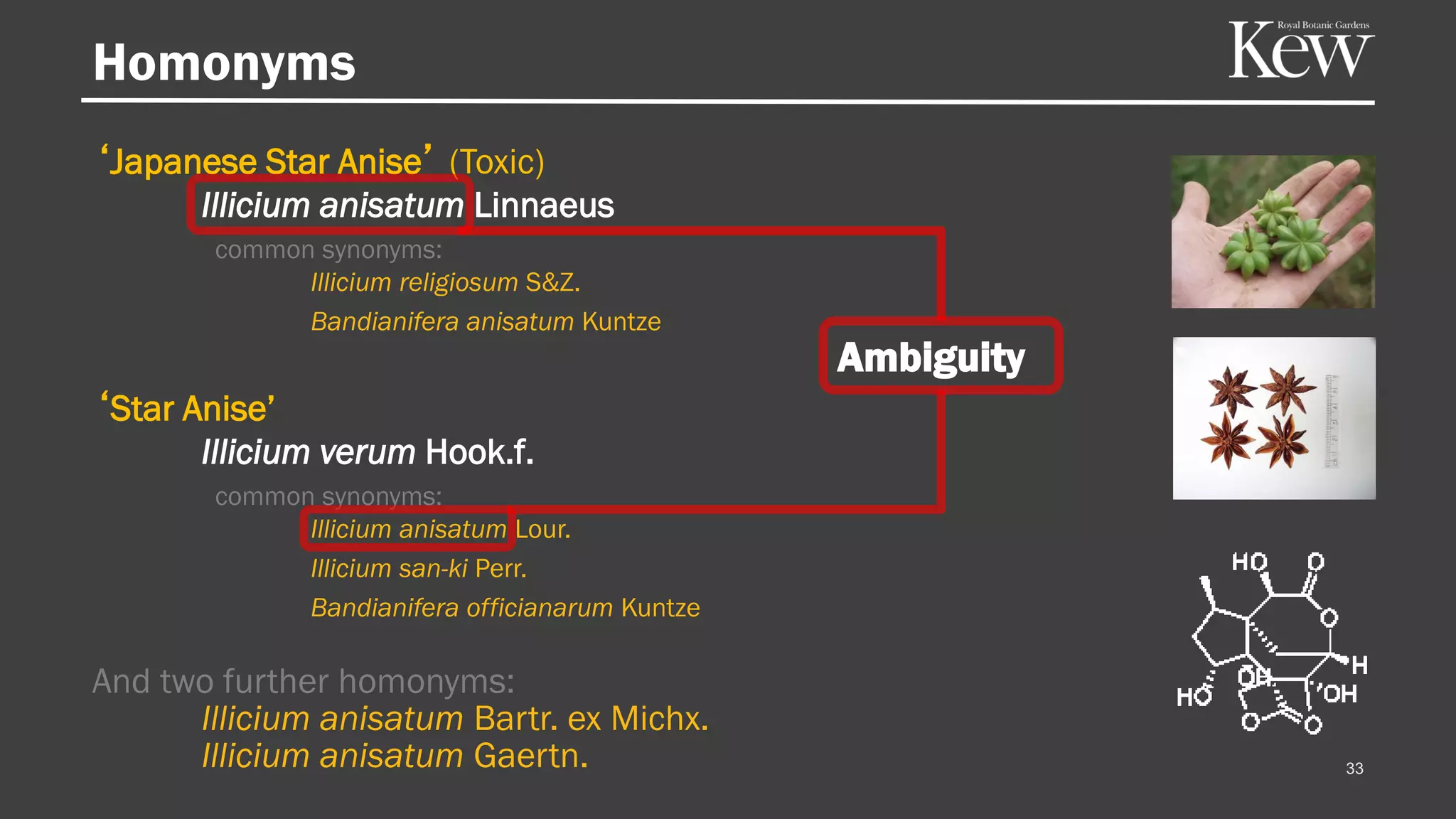 Homonyms
33
‘Japanese Star Anise’ (Toxic)
Illicium anisatum Linnaeus
common synonyms:
Illicium religiosum S&Z.
Bandianifera anisatum Kuntze
‘Star Anise’
Illicium verum Hook.f.
common synonyms:
Illicium anisatum Lour.
Illicium san-ki Perr.
Bandianifera officianarum Kuntze
And two further homonyms:
Illicium anisatum Bartr. ex Michx.
Illicium anisatum Gaertn.
Ambiguity
 