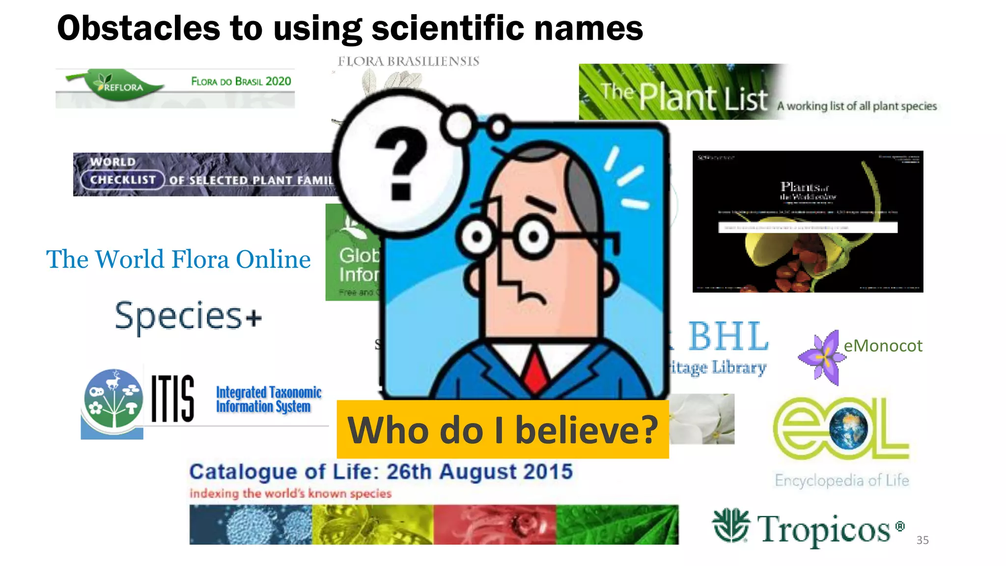 35
The World Flora Online
eMonocot
Who do I believe?
Obstacles to using scientific names
 