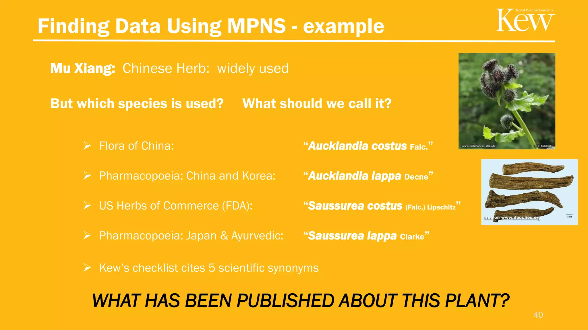 Finding Data Using MPNS - example
Mu Xiang: Chinese Herb: widely used
But which species is used? What should we call it?
40
➢ Flora of China: “Aucklandia costus Falc.”
➢ Pharmacopoeia: China and Korea: “Aucklandia lappa Decne”
➢ US Herbs of Commerce (FDA): “Saussurea costus (Falc.) Lipschitz”
➢ Pharmacopoeia: Japan & Ayurvedic: “Saussurea lappa Clarke”
➢ Kew’s checklist cites 5 scientific synonyms
WHAT HAS BEEN PUBLISHED ABOUT THIS PLANT?
 