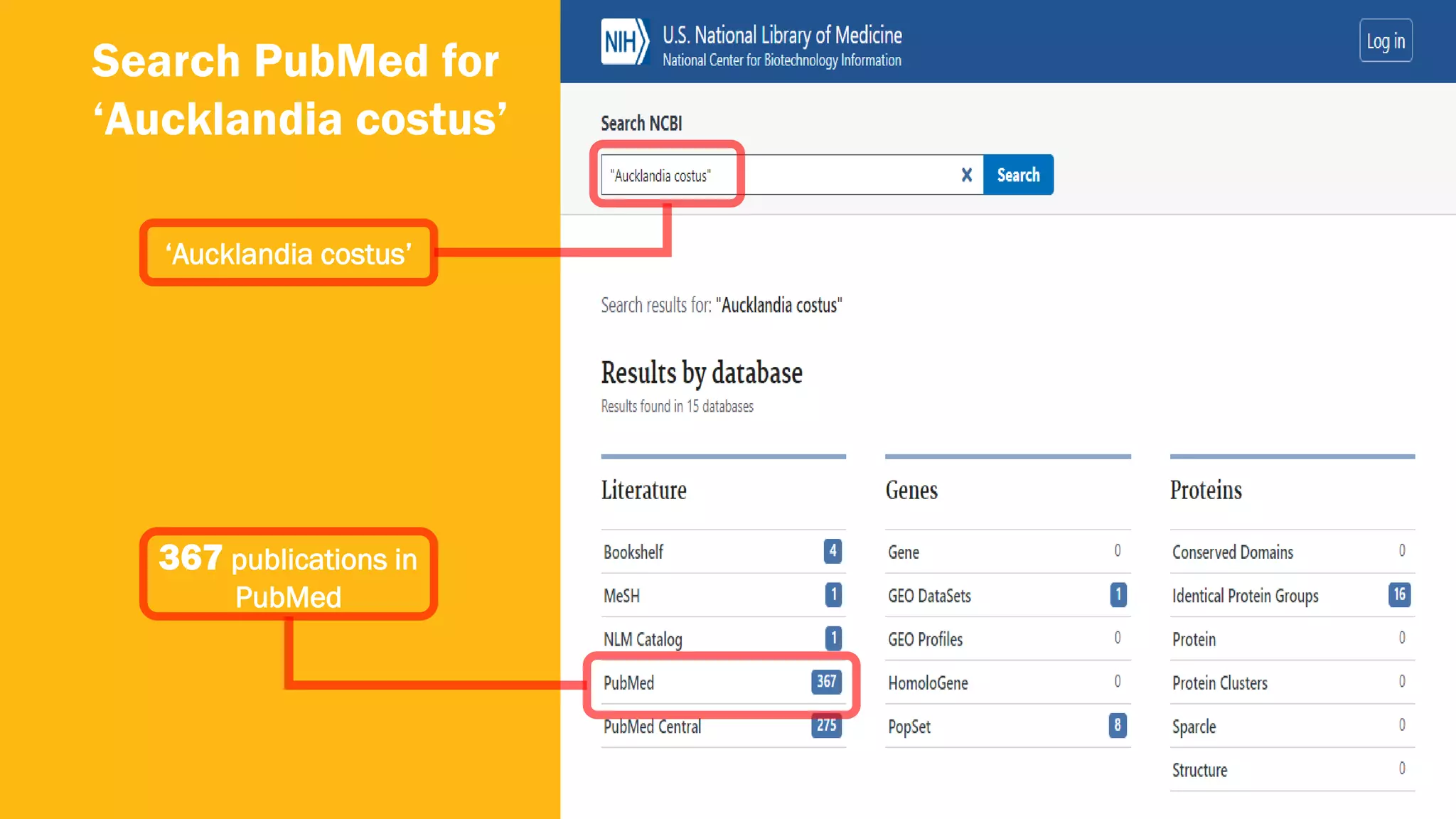 41
Search PubMed for
‘Aucklandia costus’
‘Aucklandia costus’
367 publications in
PubMed
 