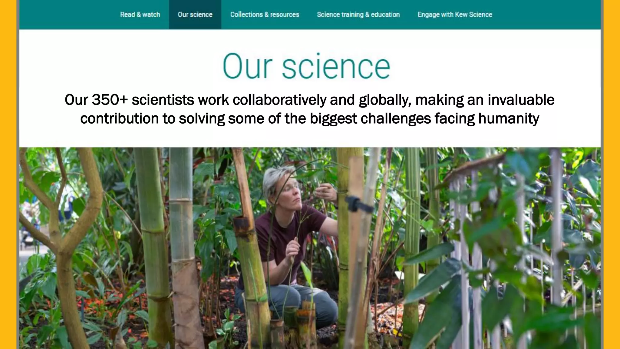 3
Our 350+ scientists work collaboratively and globally, making an invaluable
contribution to solving some of the biggest challenges facing humanity
 