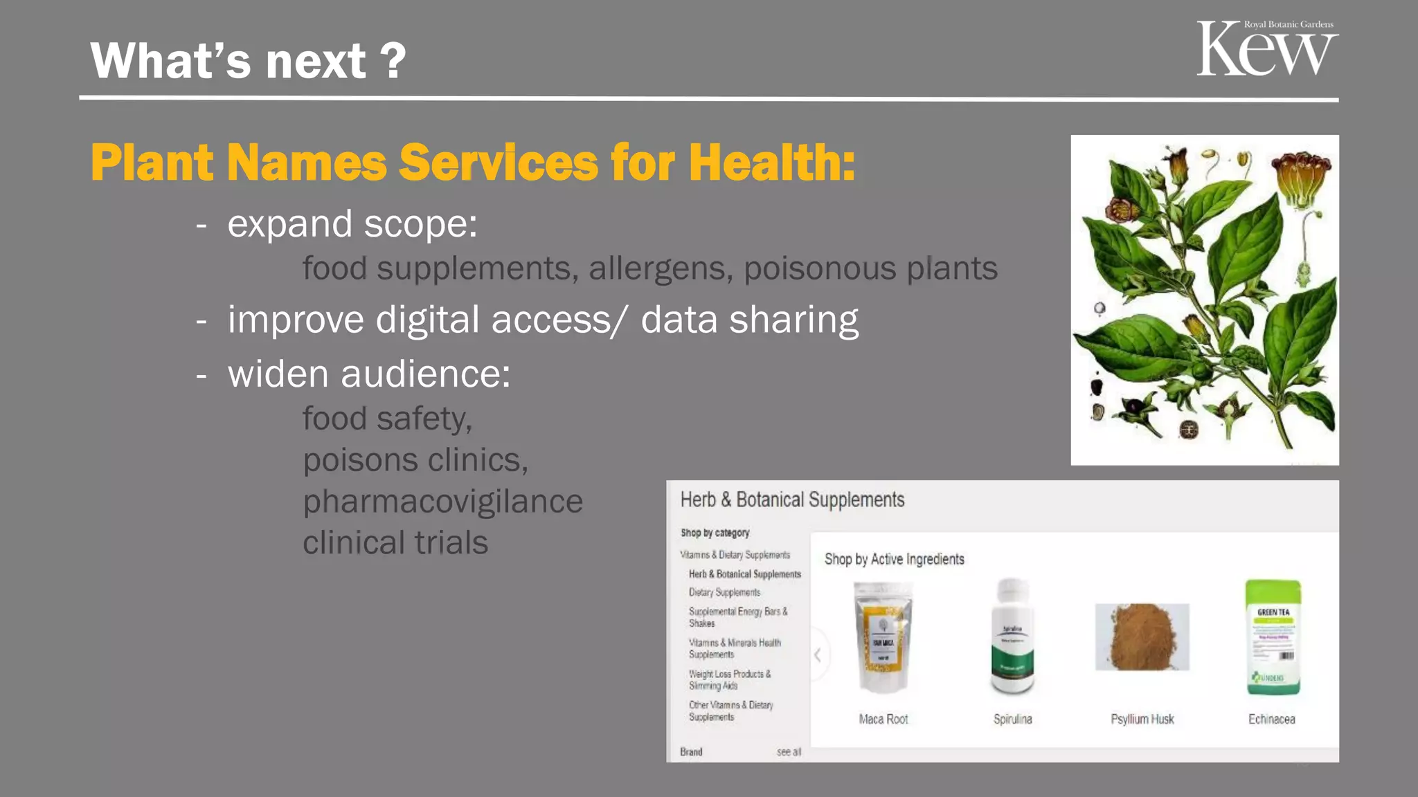 What’s next ?
Plant Names Services for Health:
- expand scope:
food supplements, allergens, poisonous plants
- improve digital access/ data sharing
- widen audience:
food safety,
poisons clinics,
pharmacovigilance
clinical trials
48
 