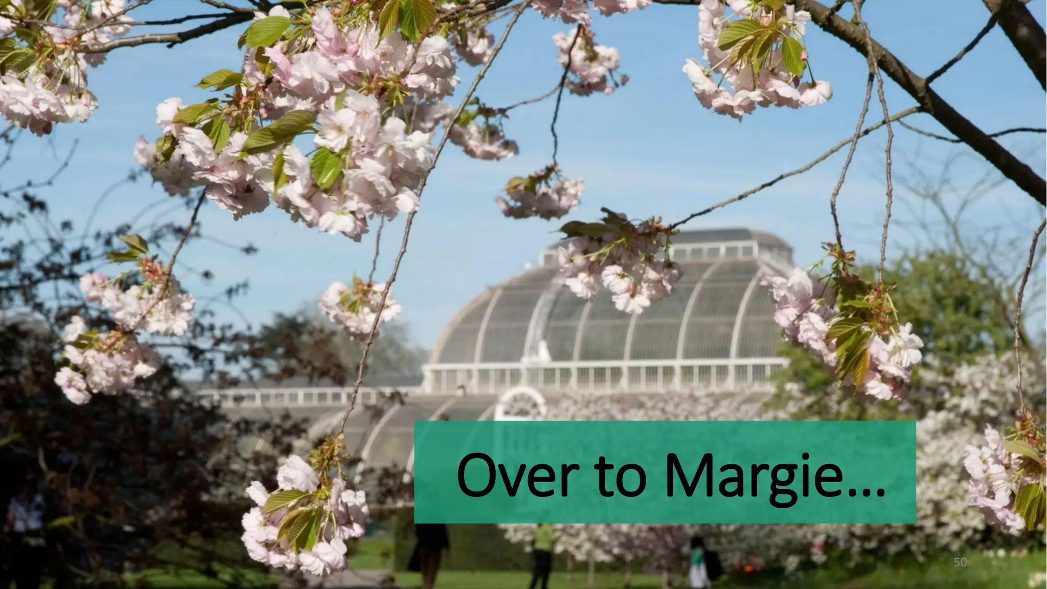 Over to Margie…
50
 