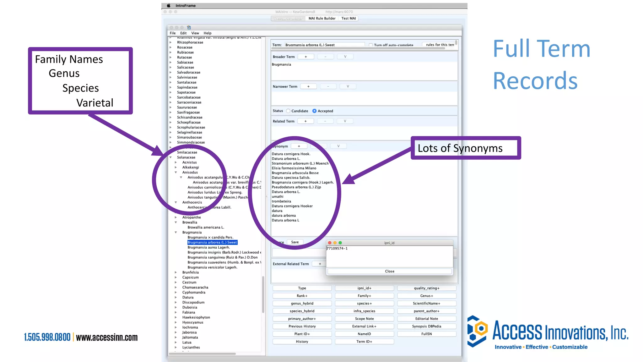 Lots of Synonyms
Family Names
Genus
Species
Varietal
Full Term
Records
 
