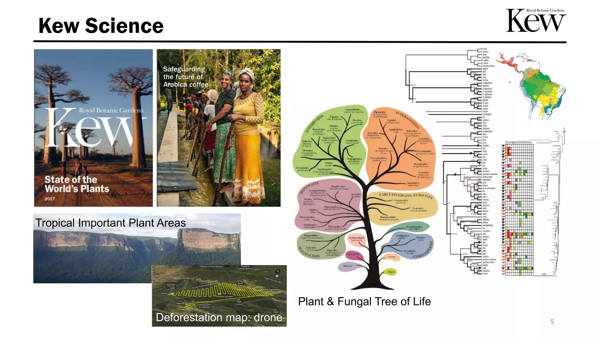 5
Tropical Important Plant Areas
Plant & Fungal Tree of Life
Kew Science
Deforestation map: drone
 