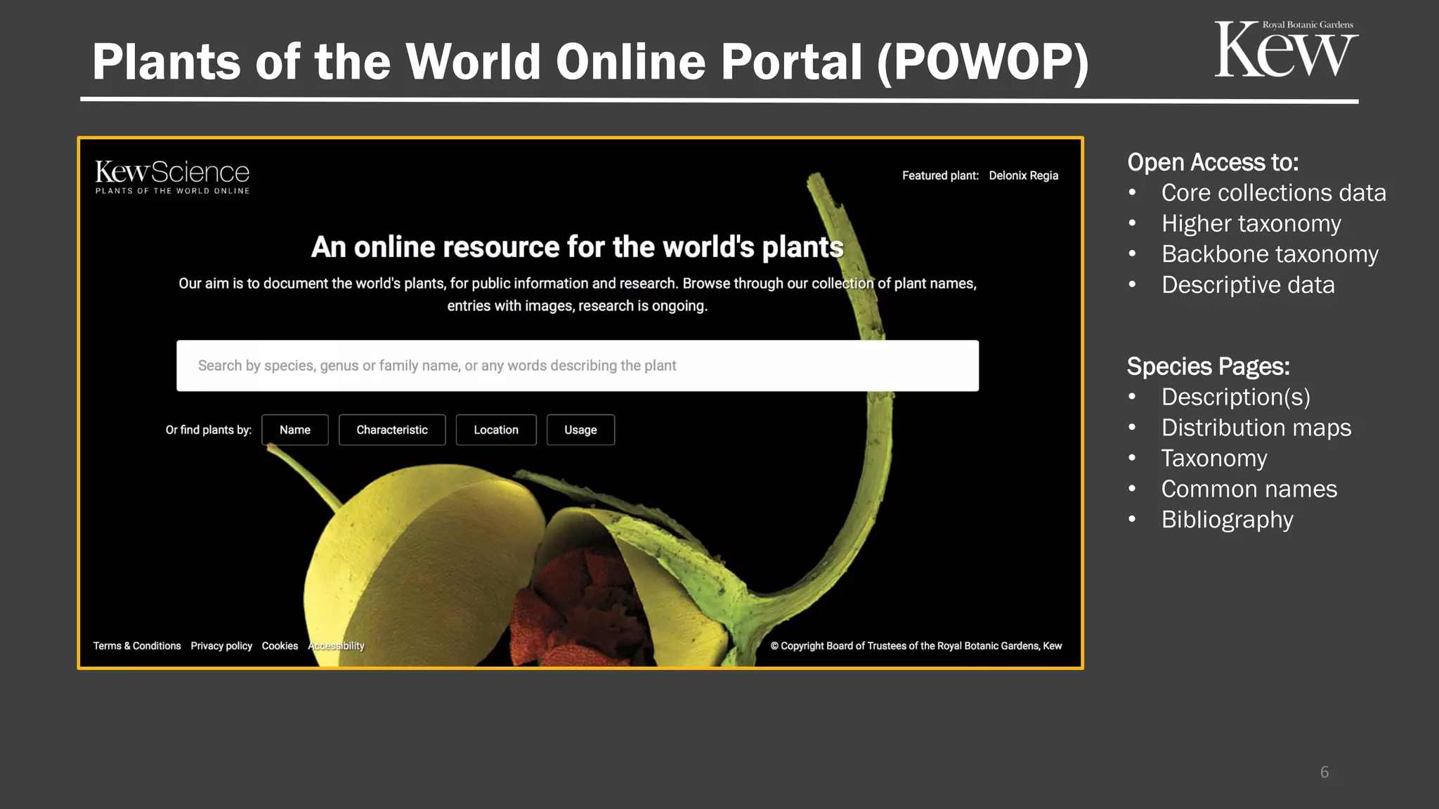Open Access to:
• Core collections data
• Higher taxonomy
• Backbone taxonomy
• Descriptive data
Species Pages:
• Description(s)
• Distribution maps
• Taxonomy
• Common names
• Bibliography
Plants of the World Online Portal (POWOP)
6
 