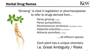 “Ginseng” is cited in legislation or pharmacopoeias
to refer to drugs derived from…
Herbal Drug Names
Panax ginseng C.A.Mey.
Panax quinquefolius L.
Eleuthrococcus senticosus (Rupr.&Maxim.) Maxim.
Hebanthe erianthos(Poir.) Pedersen
Withania somnifera(L.) Dunal
…..16 different species
Each plant has a unique chemistry
i.e. Great Ambiguity / Risks
16
 