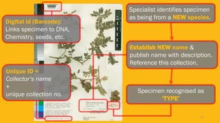 23
Specialist identifies specimen
as being from a NEW species.
Digital id (Barcode):
Links specimen to DNA,
Chemistry, seeds, etc.
Unique ID =
Collector’s name
+
unique collection no.
Establish NEW name &
publish name with description.
Reference this collection.
Specimen recognised as
‘TYPE’
 