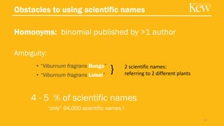 Obstacles to using scientific names
Homonyms: binomial published by >1 author
Ambiguity:
• “Viburnum fragrans Bunge”
• “Viburnum fragrans Loisel”
4 - 5 % of scientific names
“only” 64,000 scientific names !
31
2 scientific names:
referring to 2 different plants}
 