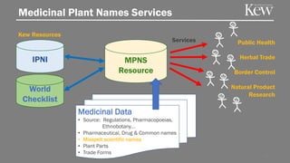 Public Health
Herbal Trade
Border Control
Natural Product
Research
Medicinal Plant Names Services
Kew Resources
Authoritative
Enriched
38
MPNS
Resource
Medicinal Data
• Source: Regulations, Pharmacopoeias,
Ethnobotany…
• Pharmaceutical, Drug & Common names
• Misspelt scientific names
• Plant Parts
• Trade Forms
World
Checklist
IPNI
Services
 