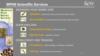 CONSULTANCY AND TRAINING
SUPPLYING DATA
MPNS Scientific Services
MANAGING YOUR NAMES DATA
4343
Validation: check and enrich your lists of plant names
Harmonisation: map plant lists onto those used by others
Vocabularies & Data: authoritative lists
Web Services: electronic refresh
Consultancy: system design, workflows, standards
Training: best practice and resources
 