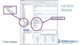 Lots of Synonyms
Family Names
Genus
Species
Varietal
Full Term
Records
 