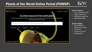 Open Access to:
• Core collections data
• Higher taxonomy
• Backbone taxonomy
• Descriptive data
Species Pages:
• Description(s)
• Distribution maps
• Taxonomy
• Common names
• Bibliography
Plants of the World Online Portal (POWOP)
6
 