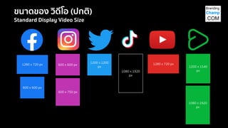1280 x 720 px 600 x 600 px
600 x 750 px
1200 x 1200
px
1080 x 1920
px
1280 x 720 px
1080 x 1920
px
1200 x 1540
px
600 x 600 px
ขนาดของ วิดีโอ (ปกติ)
Standard Display Video Size
 