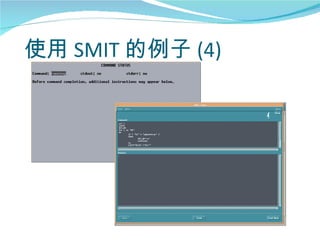 使用 SMIT 的例子 (4)
 