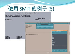 使用 SMIT 的例子 (5)
 