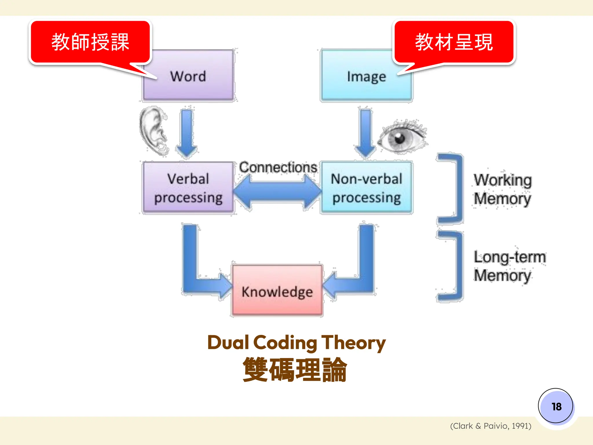 Dual Coding Theory
雙碼理論
18
(Clark & Paivio, 1991)
教師授課 教材呈現
 