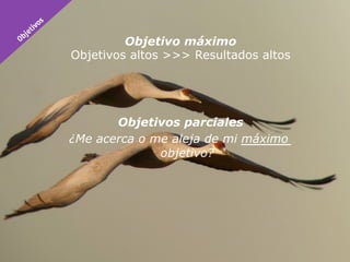 Objetivo máximo
Objetivos altos >>> Resultados altos




       Objetivos parciales
¿Me acerca o me aleja de mi máximo
              objetivo?
 