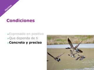 Condiciones


 Expresadoen positivo
 Que dependa de ti
 Concreto y preciso
 