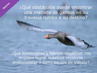 ¿Qué obstáculos puede encontrar
      una manada de gansos en su
      travesía rumbo a su destino?




¿Qué limitaciones y hábitos negativos nos
    impiden lograr nuestros objetivos
 profesionales o como equipo de trabajo?
 