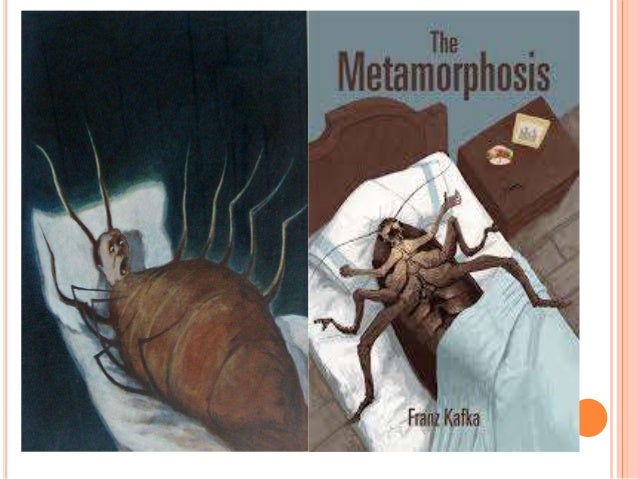 Metamorphosis by Kafka--An overview