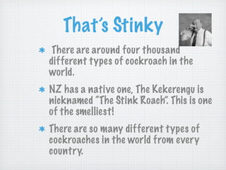 That’s Stinky
 There are around four thousand
different types of cockroach in the
world.
NZ has a native one, The Kekerengu is
nicknamed “The Stink Roach”. This is one
of the smelliest!
There are so many different types of
cockroaches in the world from every
country.
 