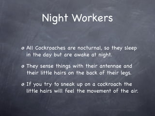 Night Workers

All Cockroaches are nocturnal, so they sleep
in the day but are awake at night.

They sense things with their antennae and
their little hairs on the back of their legs.

If you try to sneak up on a cockroach the
little hairs will feel the movement of the air.
 
