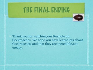 THE FINAL ENDING


Thank you for watching our Keynote on
Cockroaches. We hope you have learnt lots about
Cockroaches, and that they are incredible,not
creepy.
 
