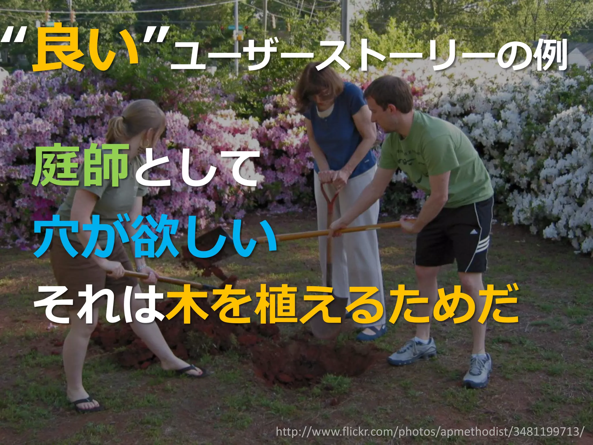 “良い”ユーザーストーリーの例

庭師として
穴が欲しい
それは木を植えるためだ

       http://www.flickr.com/photos/apmethodist/3481199713/
 