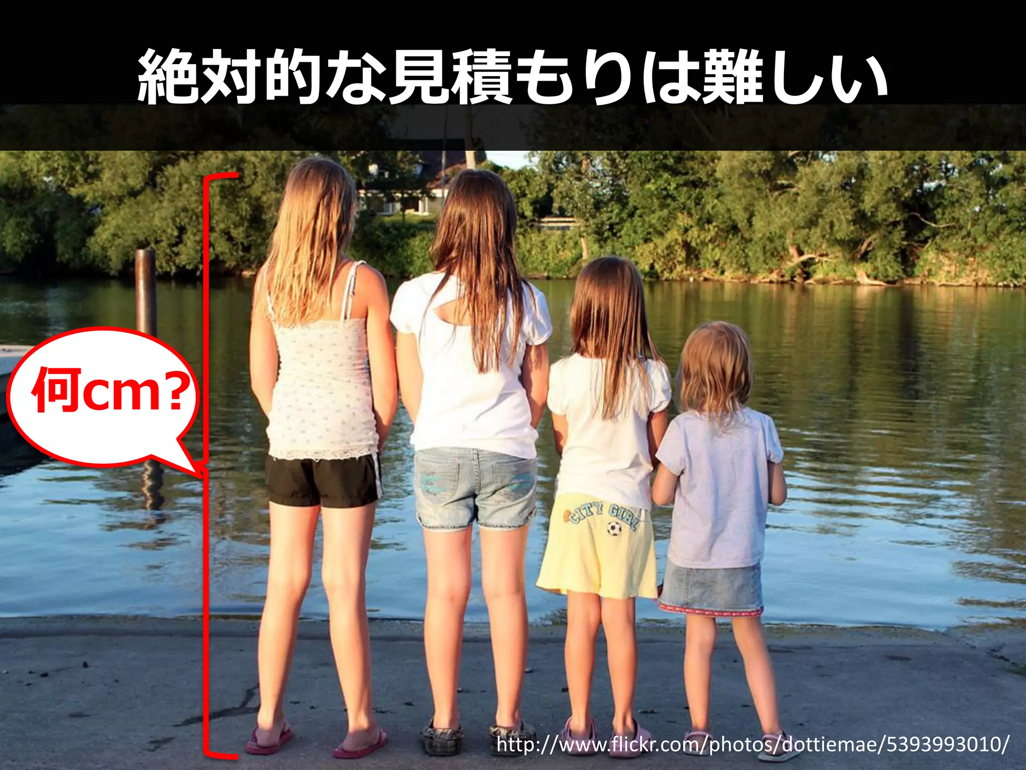 絶対的な見積もりは難しい



何cm?




       http://www.flickr.com/photos/dottiemae/5393993010/
 