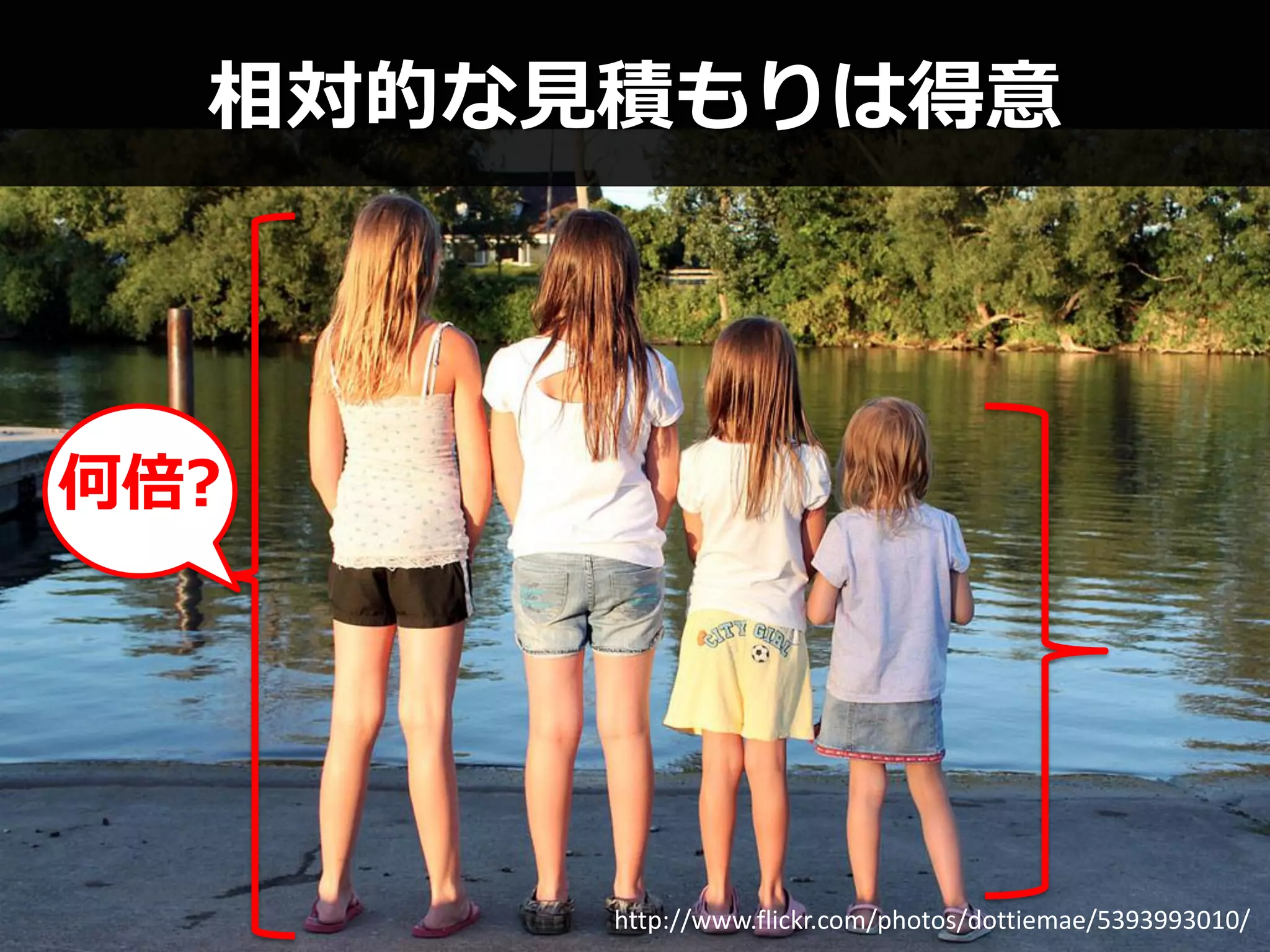 相対的な見積もりは得意



何倍?




       http://www.flickr.com/photos/dottiemae/5393993010/
 