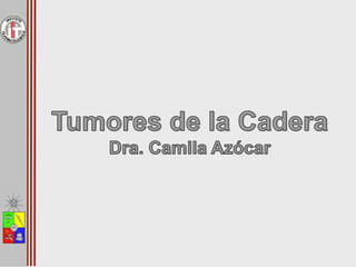 Tumores Óseos en Relación a la Cadera