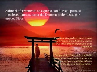 Quedarse atrapado en la serenidad que produce la meditación, es peor que atascarse en el pantano de la inquietud. Porque de la cárcel de la confusión todos queremos escapar; en cambio, la calma de la tranquilidad interior puede producir un terrible apego. Sobre el aferramiento se expresa con dureza; pues, si nos descuidamos, hasta del Dharma podemos sentir apego. Dice: 