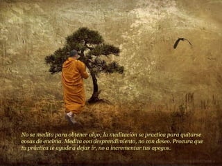 No se medita para obtener algo; la meditación se practica para quitarse cosas de encima. Medita con desprendimiento, no con deseo. Procura que tu práctica te ayude a dejar ir, no a incrementar tus apegos. 