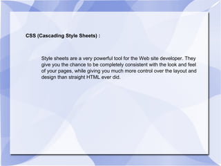 CSS (Cascading Style Sheets) : Style sheets are a very powerful tool for the Web site developer. They give you the chance to be completely consistent with the look and feel of your pages, while giving you much more control over the layout and design than straight HTML ever did. 