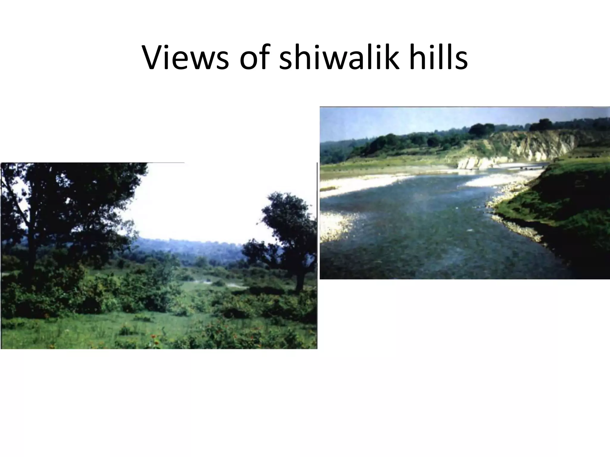 Views of shiwalik hills