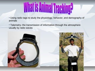 • Using radio tags to study the physiology, behavior, and demography of
animals
• Telemetry- the transmission of information through the atmosphere
usually by radio waves
 