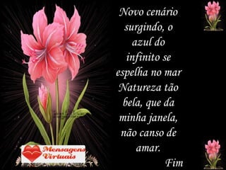 Novo cenário surgindo, o azul do infinito se espelha no mar Natureza tão bela, que da minha janela, não canso de amar. Fim 