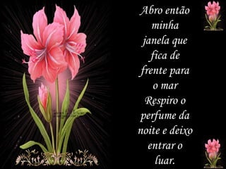 Abro então minha janela que fica de frente para o mar Respiro o perfume da noite e deixo entrar o luar. 