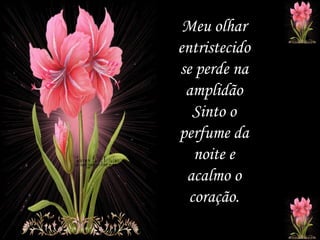 Meu olhar entristecido se perde na amplidão Sinto o perfume da noite e acalmo o coração. 