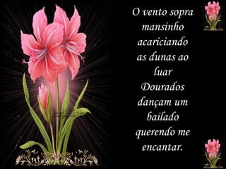 O vento sopra mansinho acariciando as dunas ao luar Dourados dançam um bailado querendo me encantar. 