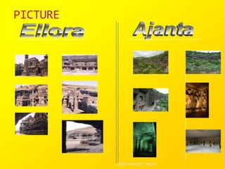 PICTURE
ROBY VINCENT,TRICHY
 