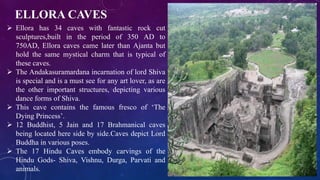ELLORA CAVES 
 Ellora has 34 caves with fantastic rock cut 
sculptures,built in the period of 350 AD to 
750AD, Ellora caves came later than Ajanta but 
hold the same mystical charm that is typical of 
these caves. 
 The Andakasuramardana incarnation of lord Shiva 
is special and is a must see for any art lover, as are 
the other important structures, depicting various 
dance forms of Shiva. 
 This cave contains the famous fresco of ‘The 
Dying Princess’. 
 12 Buddhist, 5 Jain and 17 Brahmanical caves 
being located here side by side.Caves depict Lord 
Buddha in various poses. 
 The 17 Hindu Caves embody carvings of the 
Hindu Gods- Shiva, Vishnu, Durga, Parvati and 
animals. 
 